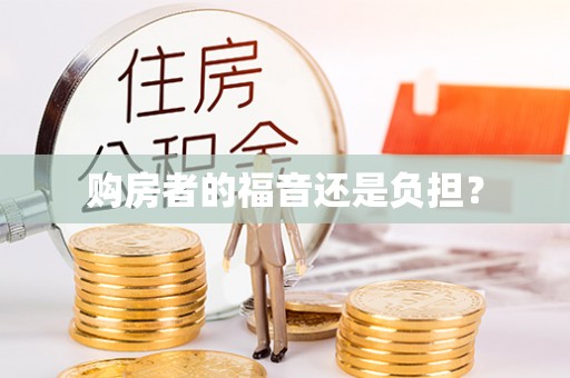 崇阳购房者的福音还是负担？