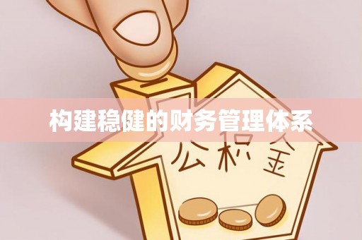 崇阳构建稳健的财务管理体系