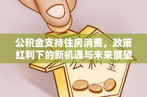 崇阳公积金支持住房消费，政策红利下的新机遇与未来展望