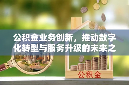 崇阳公积金业务创新，推动数字化转型与服务升级的未来之路