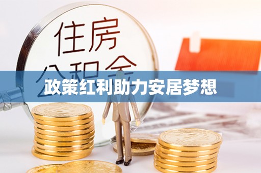 崇阳政策红利助力安居梦想