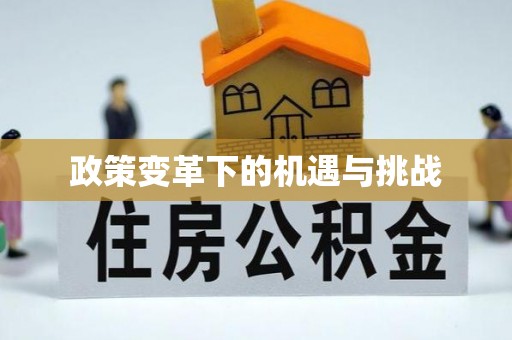 崇阳政策变革下的机遇与挑战